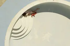 MA previewed at MoMA PS1 VW Dome - Tribeca Film Festival